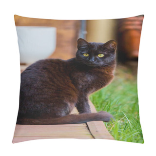 Personality  Portrait With A Cat In The Garden In The Background Blur Pillow Covers