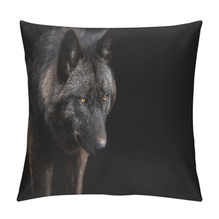 Personality  Black Wolf With A Black Background Pillow Covers