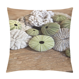 Personality  Sea Urchins Pillow Covers