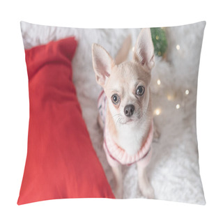 Personality  Adorable Little Christmas Dog Chihuahua Dog In Sweater Lies On A Blanket Pillow Covers