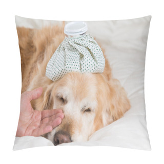 Personality  Golden Retriever Dog Cold Pillow Covers