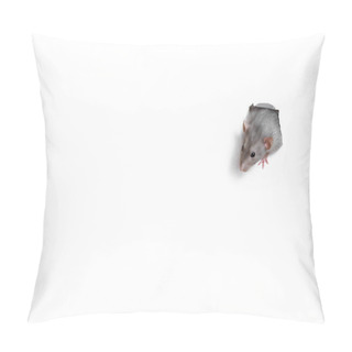 Personality  Lovely Pet. A Cute Funny Rat Dambo Looks Out Of A Heart-shaped Shaped Hole In White Paper. The Rat Is A Symbol Of The 2020 Foot. Pillow Covers