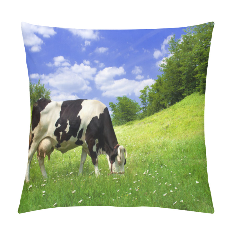 Personality  Cow on beautiful meadow pillow covers