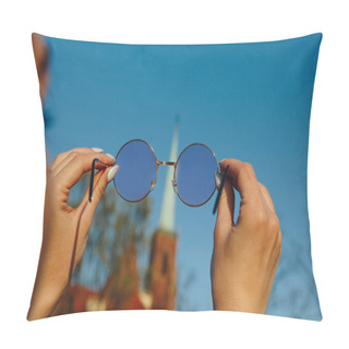 Personality  Eyeglasses Pillow Covers