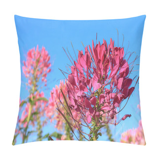 Personality  Purple Flowers Pillow Covers