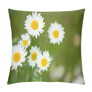 Personality  Blossoming Camomile Flowers Pillow Covers
