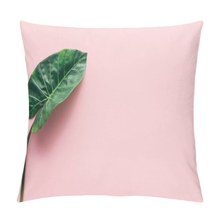 Personality  Flat Lay With Green Beautiful Palm Leaf On Pink, Minimalistic Concept  Pillow Covers