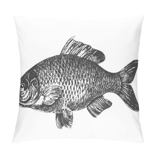 Personality  Carp Fish Antique Illustration Pillow Covers