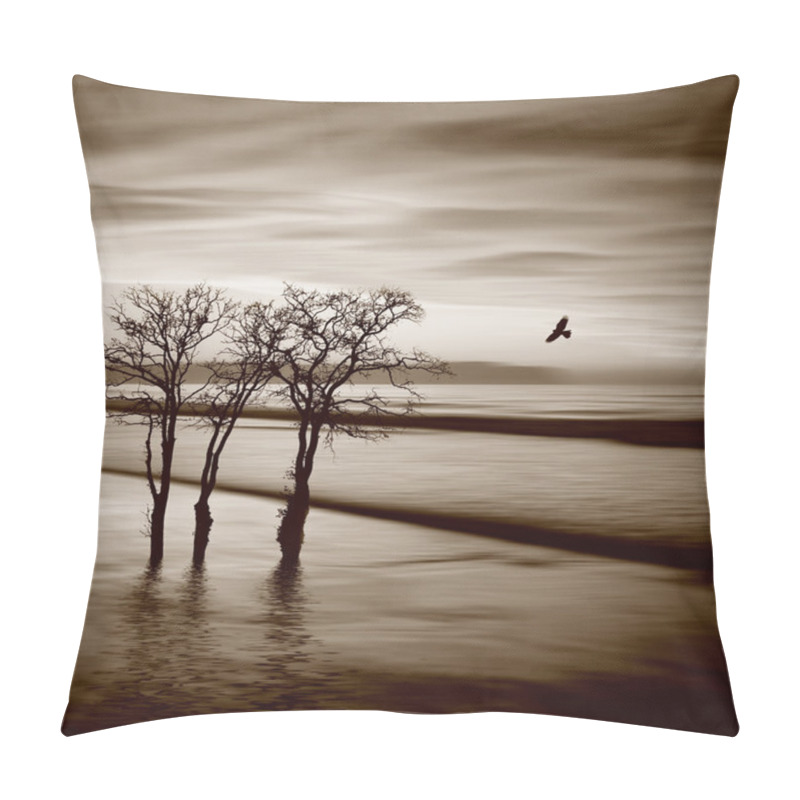 Personality  beautiful sepia landscape pillow covers