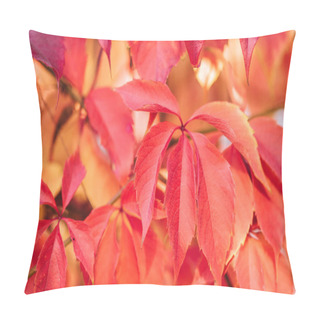 Personality  Close Up Of Beautiful Autumnal Plants With Red Leaves Pillow Covers