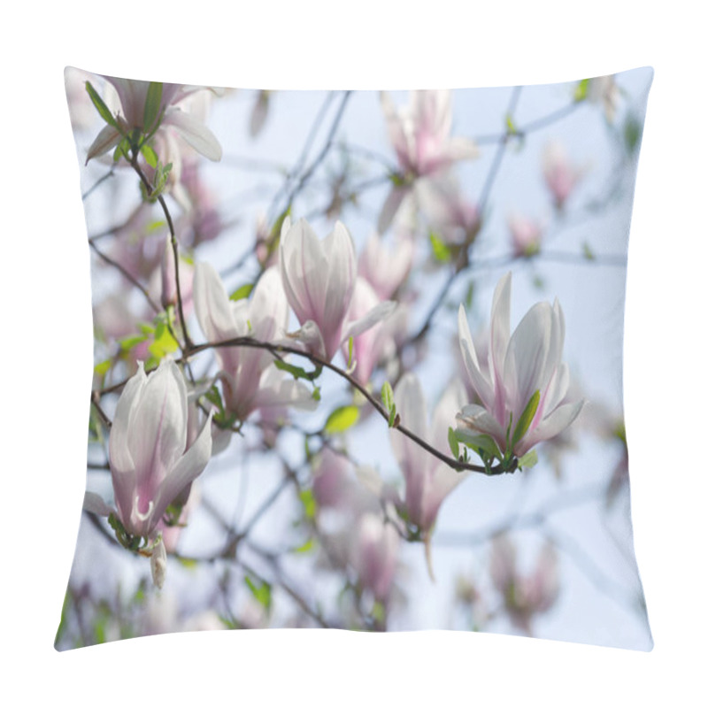 Personality  Pink magnolia flowers on spring twigs pillow covers