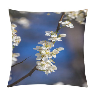 Personality  The Fruits Blossom In Spring. Pillow Covers