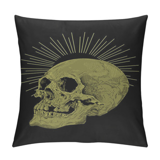 Personality  Skull Artwork Detail Illustration Pillow Covers