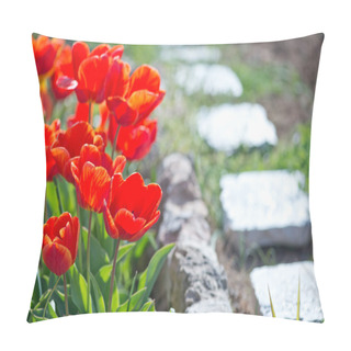 Personality  Spring Tulips In The Garden Pillow Covers