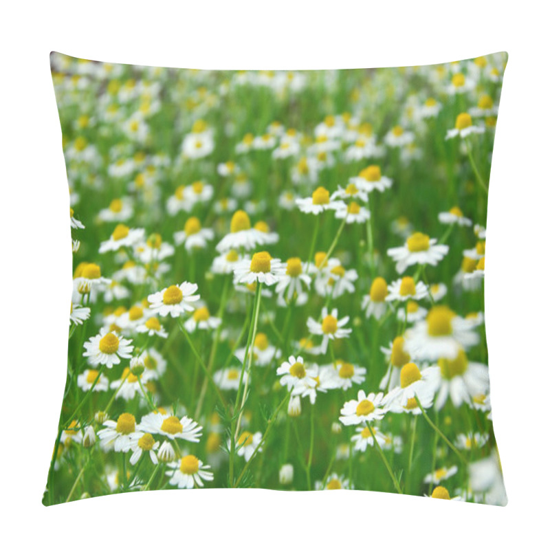 Personality  Chamomile pillow covers