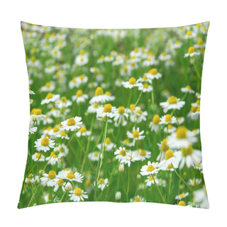 Personality  Chamomile Pillow Covers