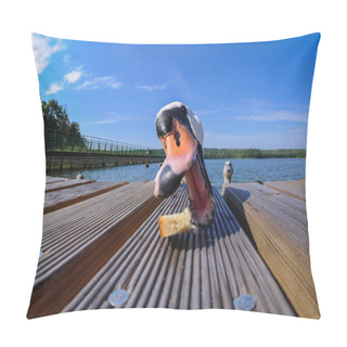 Personality  Mute Swan In Poland Pillow Covers