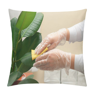 Personality  Cleaning Ficus Pillow Covers
