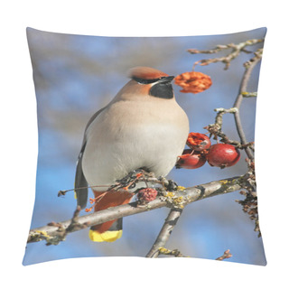 Personality  Waxwing On Branch With Berries Pillow Covers
