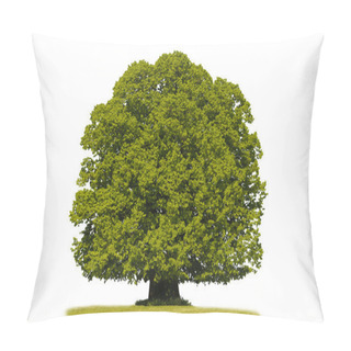 Personality  Single Linden Tree Pillow Covers