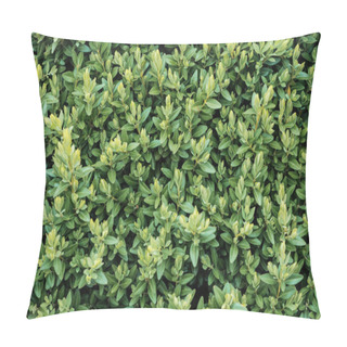 Personality  Green Blooming Bush With Small Leaves, Seamless Background Pillow Covers
