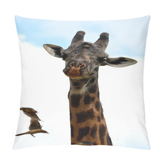 Personality  Giraffe And Her Birds Parasites Yellow- Billed Pillow Covers