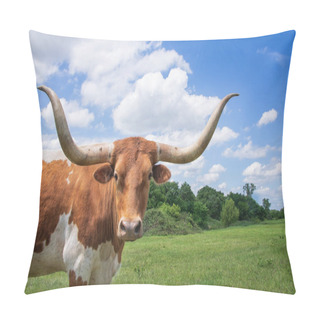 Personality  Closeup Of Texas Longhorn In The Spring Pasture. Bright Blue Sky And White Clouds With Copy Space. Pillow Covers