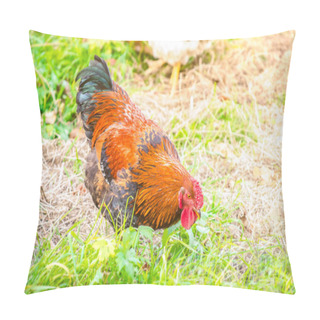 Personality  Brown Rooster On A Sunny Day Pillow Covers