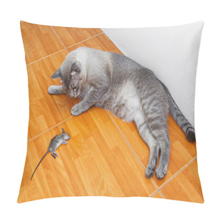 Personality  Cat Kill Rat Pillow Covers