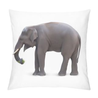 Personality  Elephant Eating Grass Pillow Covers
