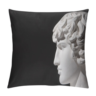 Personality  Plaster Head Of Sculpture Pillow Covers