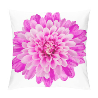 Personality  Pink Chrysanthemum Flower Isolated On White Background Pillow Covers