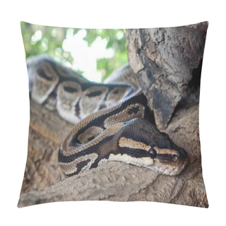 Personality  A Photography Of A Snake On A Tree Branch With A Blurred Background. Pillow Covers