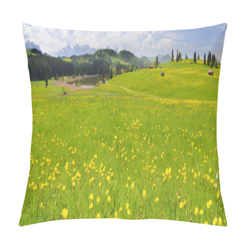 Personality  Wide panorama landscape in Bavaria pillow covers