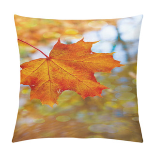 Personality  Autumn Season, Nature. Fallen Autumn Leaf  Pillow Covers