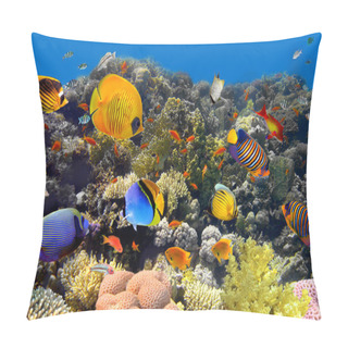 Personality  Coral And Fish Pillow Covers