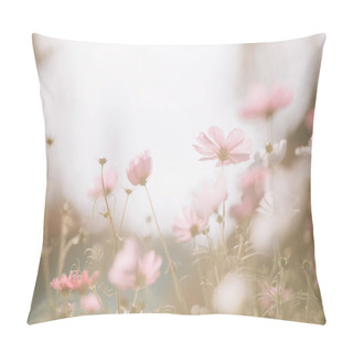 Personality  Cosmos Pink Flowers Close Up In Field Background Vintage Style Pillow Covers