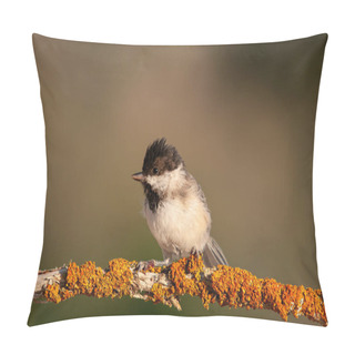 Personality  Sombre Tit (Poecile Lugubris) On Tree Branch With Yellow Colour Lichen. Blurred And Natural Background. Small, Cute, Songbird. Pillow Covers