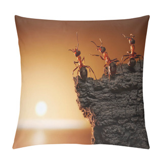 Personality  Team Of Ants On Rock Watching Sunrise Or Sunset At Sea Pillow Covers