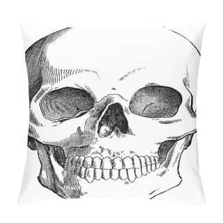 Personality  Vintage Image Human Skull Pillow Covers