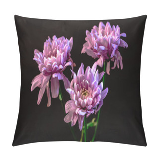Personality  Studio Shot Of Three Pink Flower, Isolated On Black Pillow Covers
