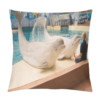 Personality  BELEK, TURKEY - OCTOBER 04, 2014: Troy Dolphinarium Pillow Covers