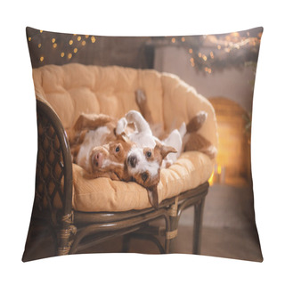 Personality  Dog Jack Russell Terrier And Dog Nova Scotia Duck Tolling Retriever . Happy New Year, Christmas, Pet In The Room The Christmas Tree Pillow Covers