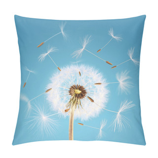 Personality  Dandelion Seeds Flying Away With The Wind Pillow Covers