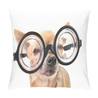 Personality  Cute Chihuahua With Giant Glasses On Pillow Covers