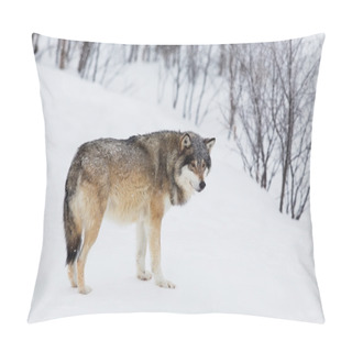Personality  One Wolf Alone In The Snow Pillow Covers