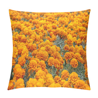 Personality  Cempasuchil Flower Field Pillow Covers