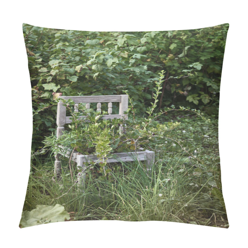 Personality  Old Wooden Chair In Wild Garden Pillow Covers