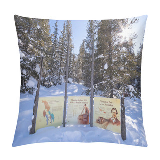 Personality  Continental Divide On Border Of Banff And Kootenay National Parks, Vermilion Pass, Alberta, British Columbia, Canada Pillow Covers