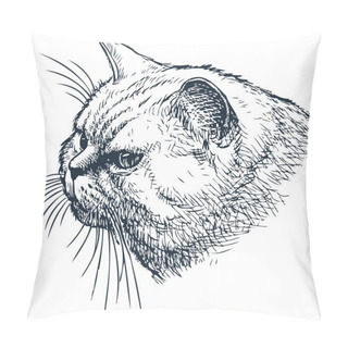 Personality   Sketch Of The Head Of A House Cat Pillow Covers